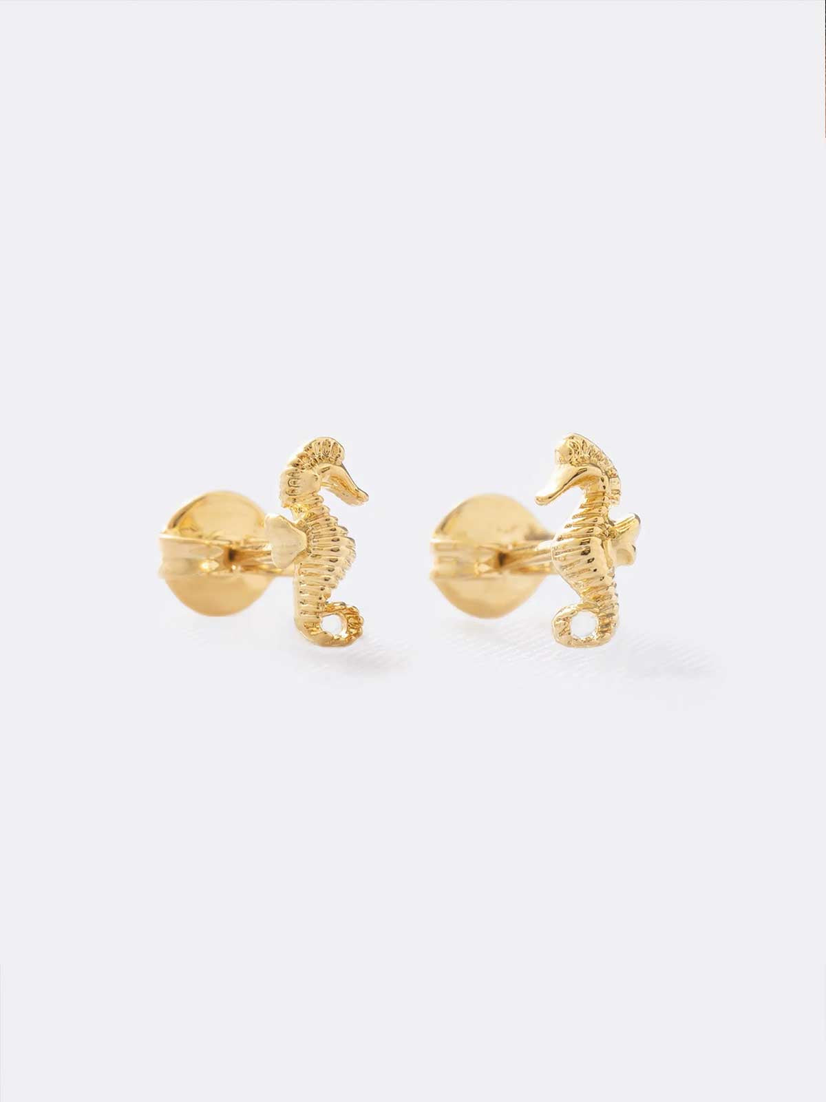 Arete Caballito de Mar