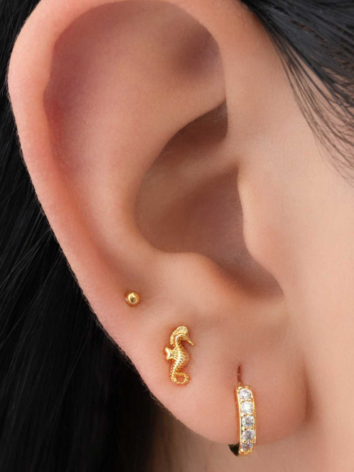 Arete Caballito de Mar